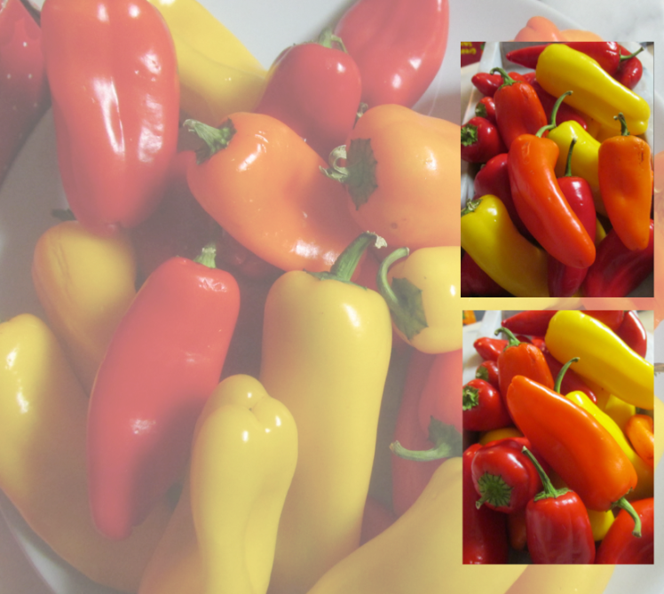 sweet winter peppers with persimmon colored ones - priorhouse