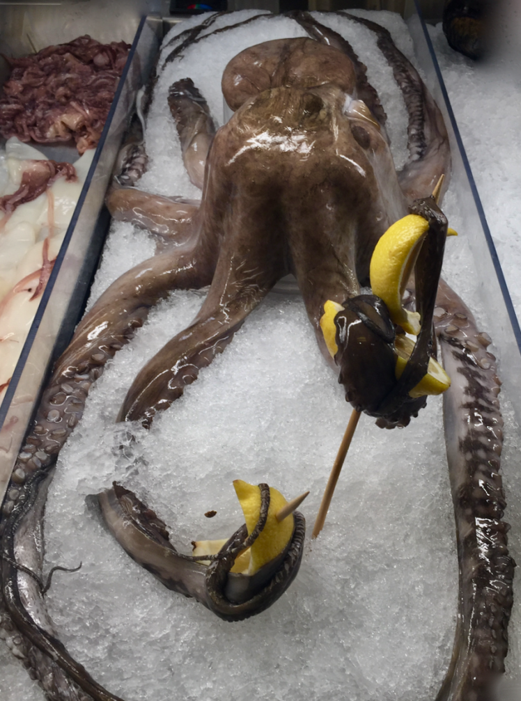 friday-food-octopus